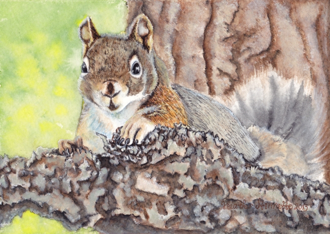 Pine Squirrel blog